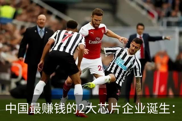 中国最赚钱的2大芯片企业诞生：创造历史！全年利润要超4000亿？
